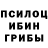 Галлюциногенные грибы Cubensis Vady Man